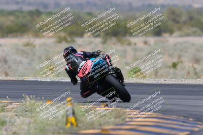 media/Apr-13-2024-SoCal Trackdays (Sat) [[f1617382bd]]/10-Turn 14 Backside (135pm)/